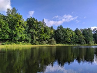 Fototapeta premium lake in forest