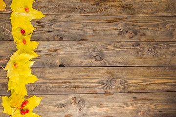 Yellow and orange fallen maple leaves on dark brown wood table background.