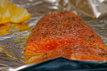 fresh salmon 