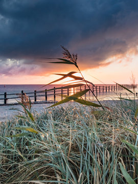 ostsee © haiderose