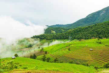 Rice terrace at Pa-pong-peang , Mae Chaem, Chaing Mai ,North Thailand..