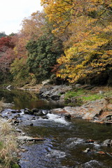 日本 秋の武蔵嵐山渓谷