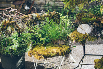 moss grass decoration at backyard