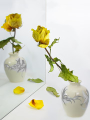 A dried yellow rose with falling petals and leaves stands in a small vase and looks in the mirror
