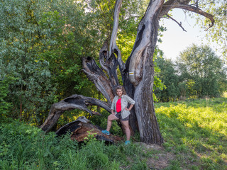 A huge, cracked tree trunk
