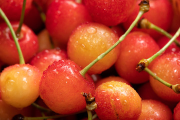 たくさんのさくらんぼ クローズアップ