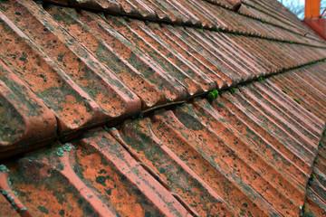 Rows of red tiles on the roof of an old house