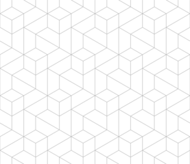 Vector seamless cubic hexagon pattern. Modern stylish thin linear texture. © Oleksandra