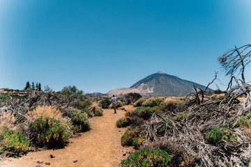 Postcards from Tenerife
