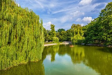 Fototapeta na wymiar Pond in the Saxon Garden in Warsaw