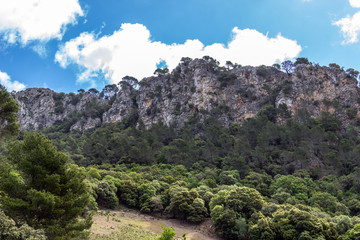 Aussicht auf die Landschaft am Coll de Soller in Norden von Mallorca an einem sonnigen Tag