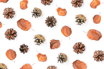 Autumn composition. Dry leaves and pine cones on a white background. Autumn background. View from above. Flat lay