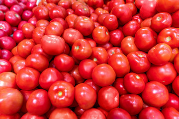 Close-up view of fresh juicy tomatoes, background photography. Summer agriculture farm market tray full of organic tomatoes.