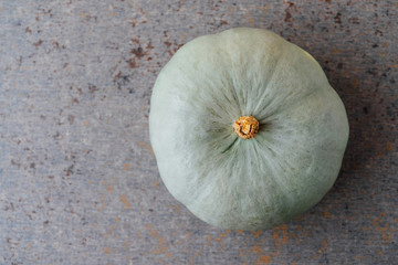Mint green pumpkin on grey background, top view. Space for text. Autumn season vegetables, fall...