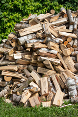 Ein Haufen Holz auf einer Wiese