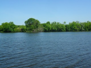 Obraz premium landscape with river and trees