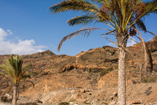 Barranco "El Medio Almud" bei Maspalomas auf Gran Canaria