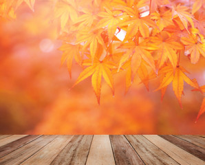 Naklejka na ściany i meble Wooden table top over blurred orange maple leaves in autumn.