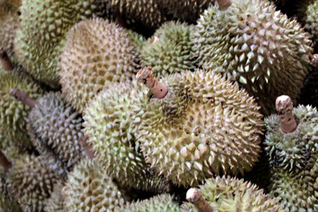 King of fruits on sale in the market