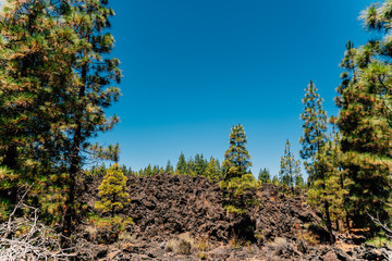 Postcards from Tenerife