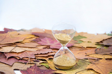 Vintage black alarm clock on autumn leaves. Time change abstract photo. Daylight saving time.