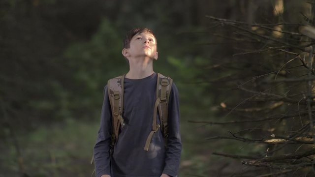 Frightened Boy Walks Through A Terrible Dry Forest In The Evening Looks Around slow motion