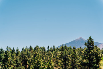 Postcards from Tenerife