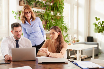 Business meeting in the office. Group of financial business people brainstorming in the office