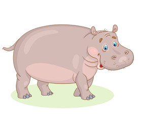 Big funny hippopotamus. In cartoon style. Isolated on white background.