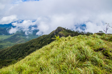 Fototapeta premium Viewpoint and green fields in the rainy season cover by fog at Doi Luang Tak, Tak Province,Thailand.