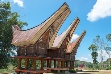 Fototapeta na wymiar Traditional Alang rice barn, Rantepao, Tana Toraja, South Sulawesi, Indonesia . Alang houses have a distinguishing boat-shaped.