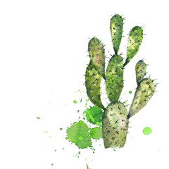 Watercolor cactus with colorful splash on white background