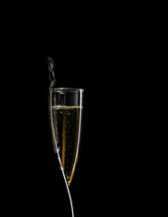 Bottler of champagne in front of glass isolated on a black background