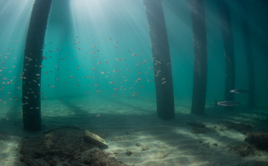 LIght rays pentrating beneath the water surface.