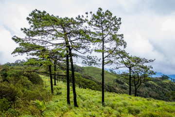 Obraz premium Viewpoint and green fields in the rainy season at Doi Luang Tak, Tak Province,Thailand.