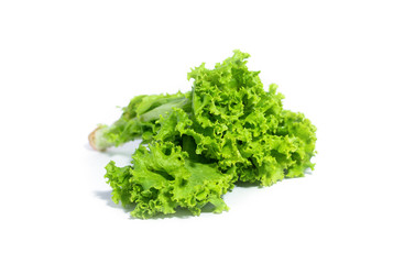 Closeup of fresh lettuce salad. green vegetables. isolated on white background