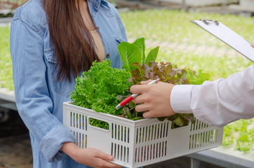 business man checking report with friendly woman farmer holding organic hydroponic fresh vegetables produce in wooden box in greenhouse garden nursery farm, agriculture business, healthy food concept