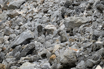 Rock pieces on the ground