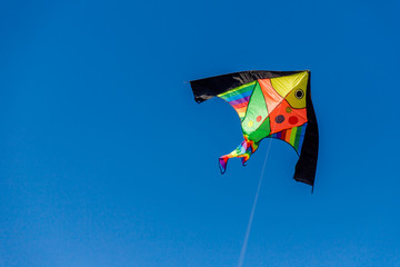 Brightly colored kite in the wind on a blue sky without clouds.Feel freedom.