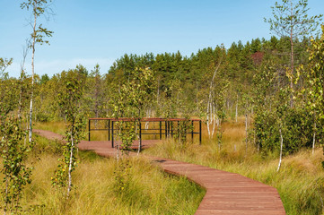 Ecological trail - wooden walkways laid in the swamp, reserve "Sestroretsk swamp"