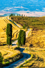 Landscape with Gladiator road and Cypress trees in Tuscany, Italy, Summer