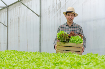 Hydroponic. asian young friendly man farmer smiling and holding organic hydroponic fresh green vegetables produce wooden box in greenhouse garden nursery farm, business farmer and healthy food concept