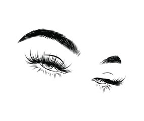 Hand-drawn woman's sexy luxurious eye with perfectly shaped eyebrows and full lashes. Idea for business visit card, typography vector. Perfect salon look.