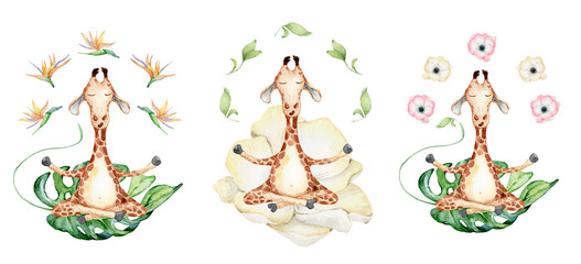 Fototapeta na wymiar Cute watercolor geraffe with tropical flowers in yoga position