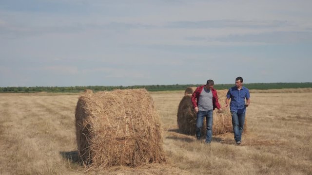 teamwork agriculture smart lifestyle farming concept. two men farmers workers walking studying a haystack in field on digital tablet. teamwork slow motion video. people agronomist botanist farmers