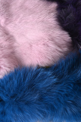 Obraz premium Pink and blue rabbit fur background texture on the wooden table