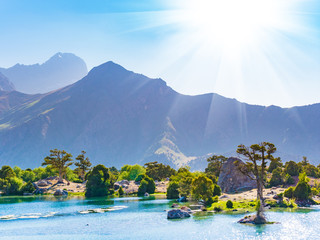 Mountain lake with blue water and a juniper tree in sunshine on a rocky mountain background. Fann...