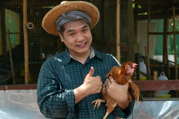 Asian farmers are holding hens. At a chicken farm in their own home area With a happy gesture