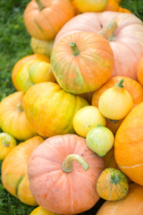 Photo from top of harvest of orange pumpkins