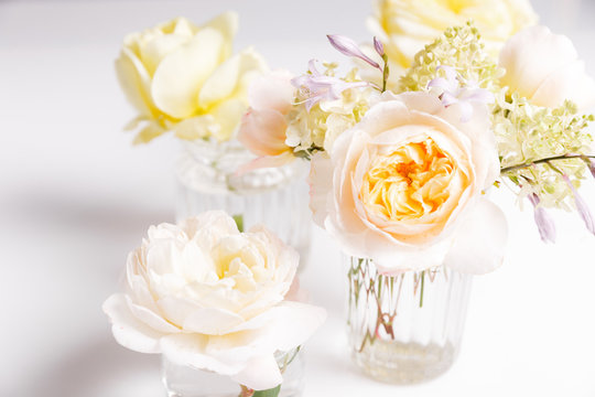 Romantic backgroundr, delicate white roses flowers close-up. Fragrant crem yellow petals